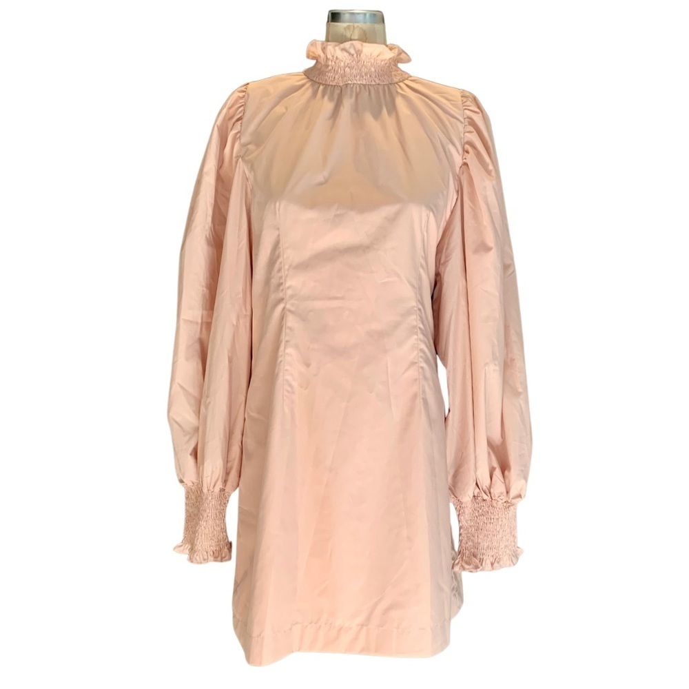 En Saison Pale Pink Long Sleeve Ruffle Detail Mini Dress Woman’s Size Medium